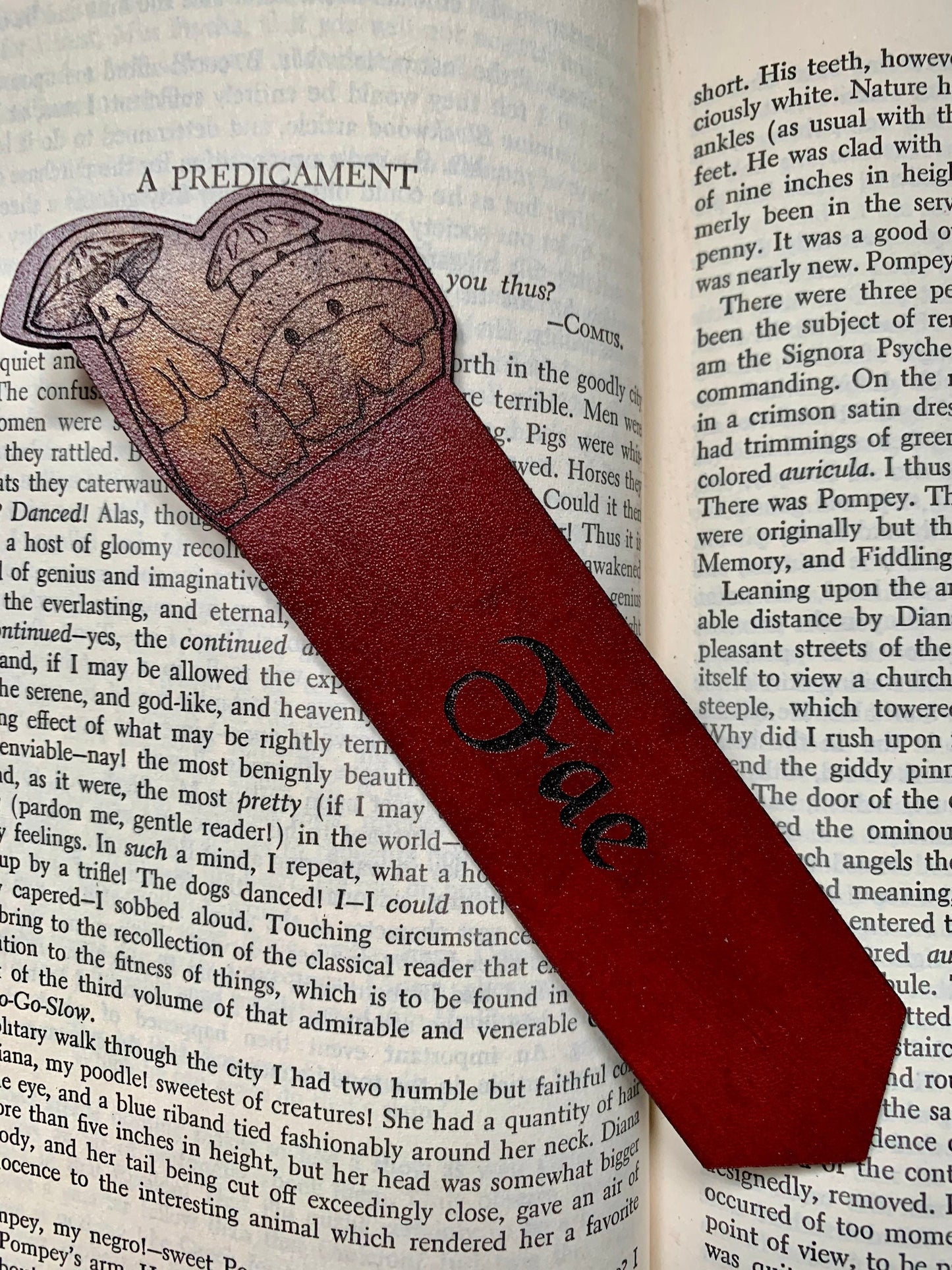 Mushroom Personalised Leather Bookmark